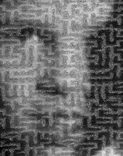 Lia Cook, In the Maze