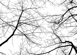 Sandra Gil, Angel's Butt I