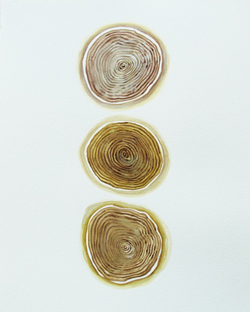 Diana Seeholzer, A thin line between here and there