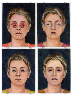 Yvette Watt, Alternate Points of View II (Chicken, Pig, Cow, Sheep)