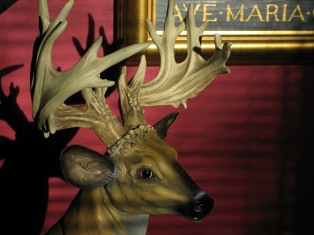 Alice M. McCabe, The Rack (from the Still Eyes series) (2013)