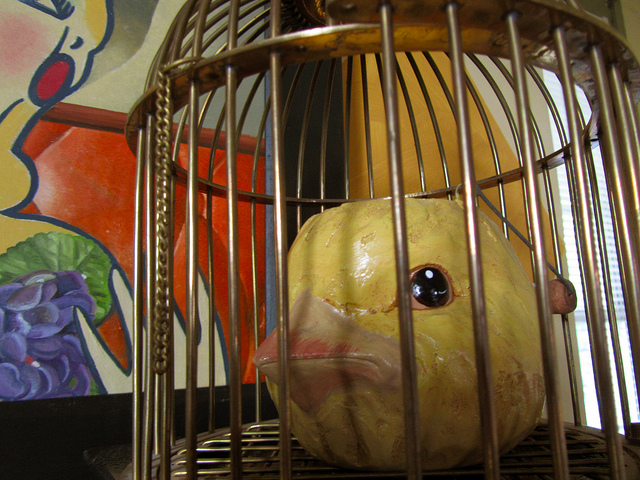 Alice M. McCabe, The Cage (from the Still Eyes series) (2013)