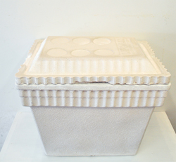 Michael Muelhaupt, Untitled (preservation study), 2012