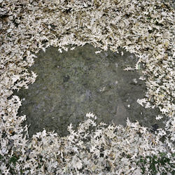 Mark Strandquist, tent imprint 1 (from the absence / occupied series), 2012