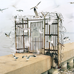 Travis Fullerton, No Trespassing, 2007