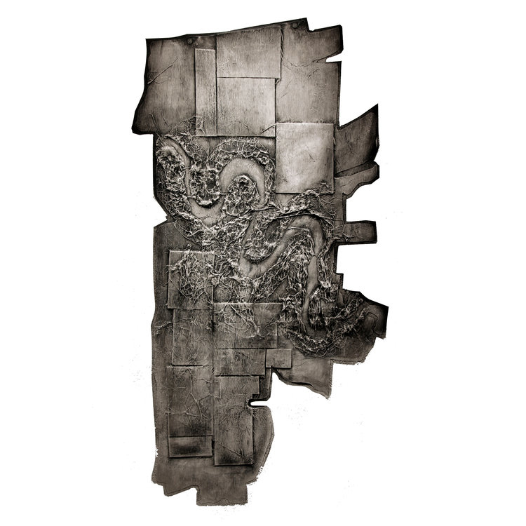 Rosemary Kate Jesionowski