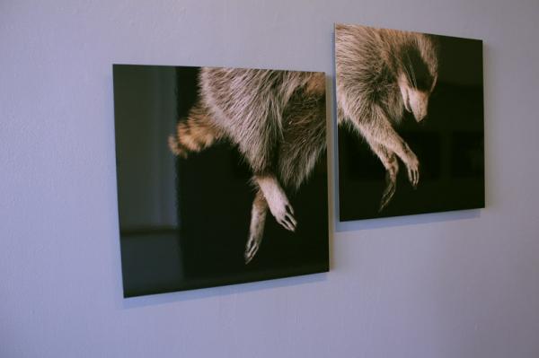 Keith Lemley + Kimberly Witham