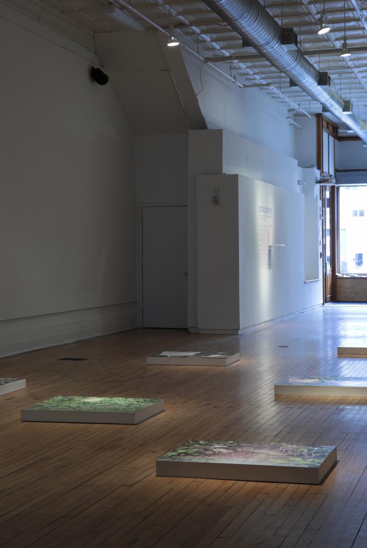 Installation view. The Afterlife of Jim Crow, 2019.