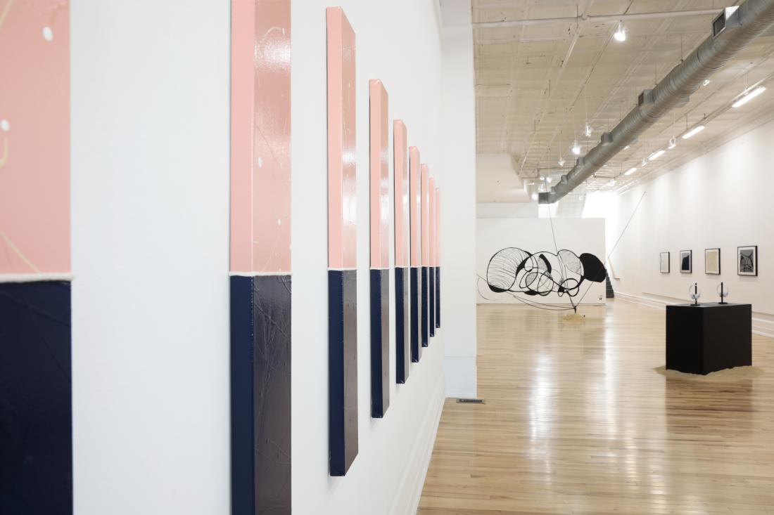 Photo Courtesy of David Hale