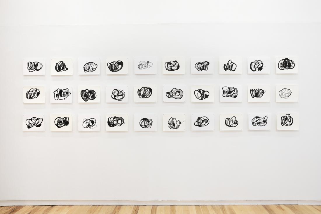 Photo Courtesy of David Hale