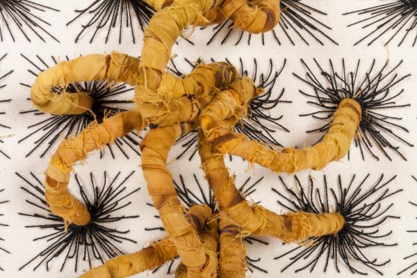 Kamala Bhagat, detail, photo by Taylor Dabney