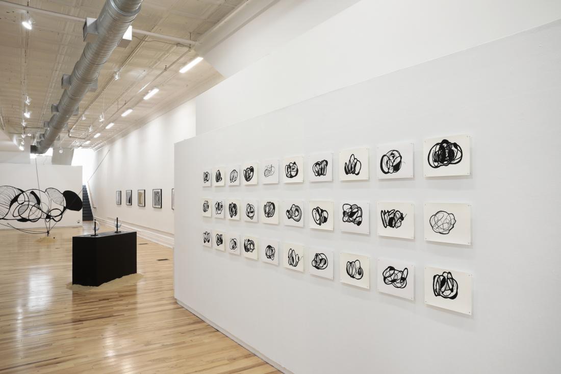 Photo Courtesy of David Hale