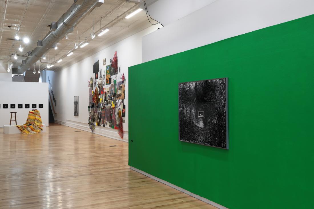 Photo courtesy of David Hale