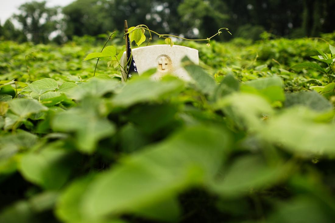 Brian Palmer & Erin Hollaway Palmer, photograph
