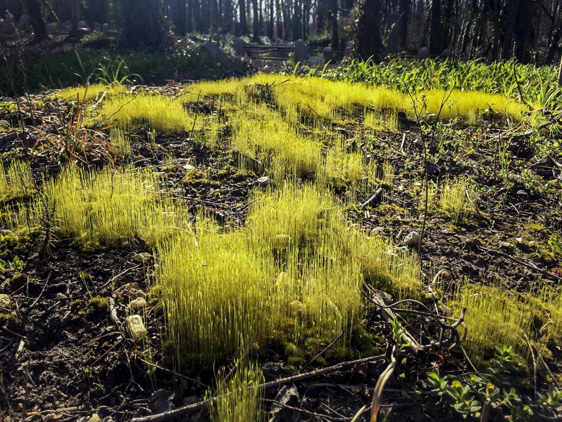 Brian Palmer & Erin Hollaway Palmer, photograph
