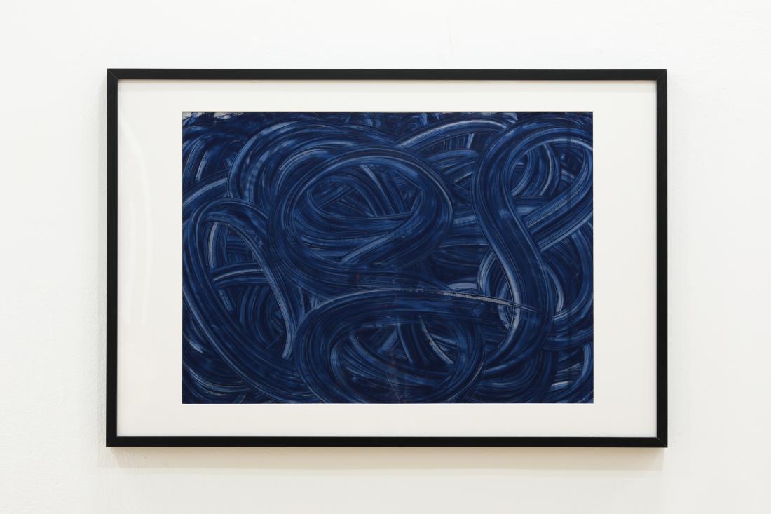 Photo Courtesy of David Hale