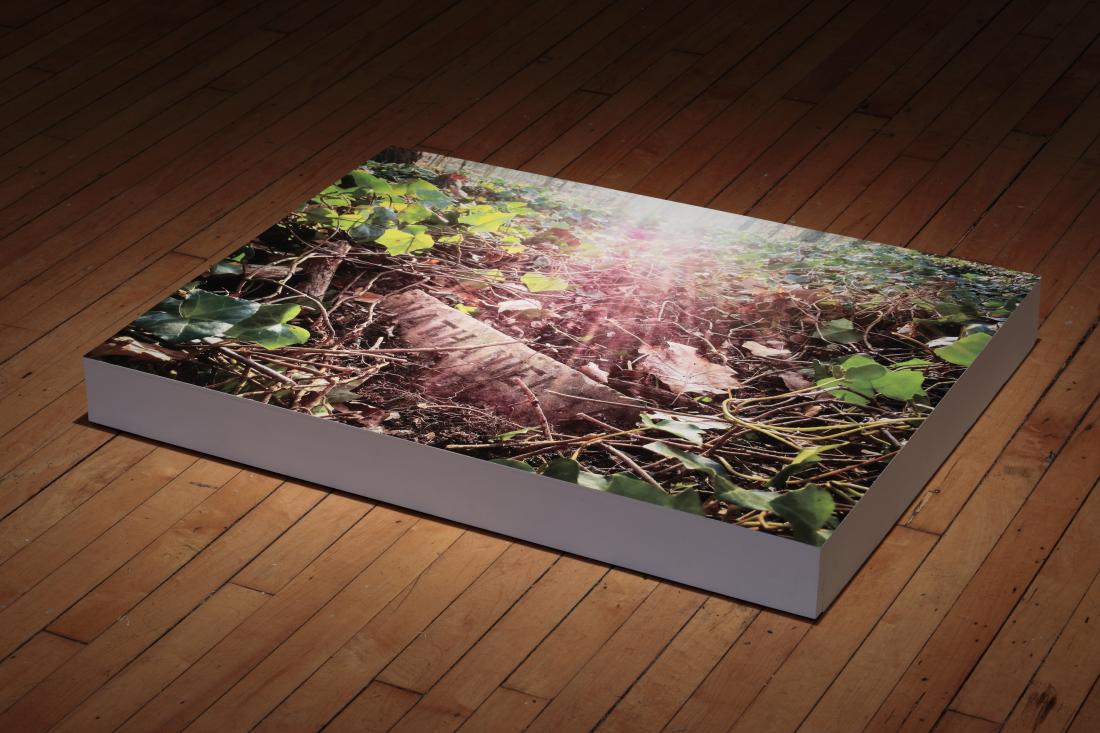 Untitled: East End, 2017. Digital Print on vinyl mounted on wood.