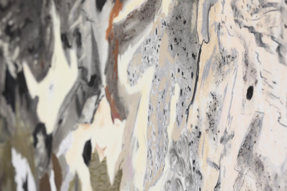 Photo Courtesy of David Hale