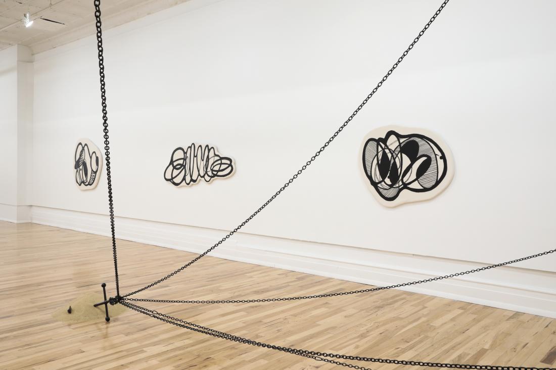 Photo Courtesy of David Hale