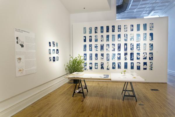 3x3 Summer Sessions: Hilary Waters Fayle Installation Image