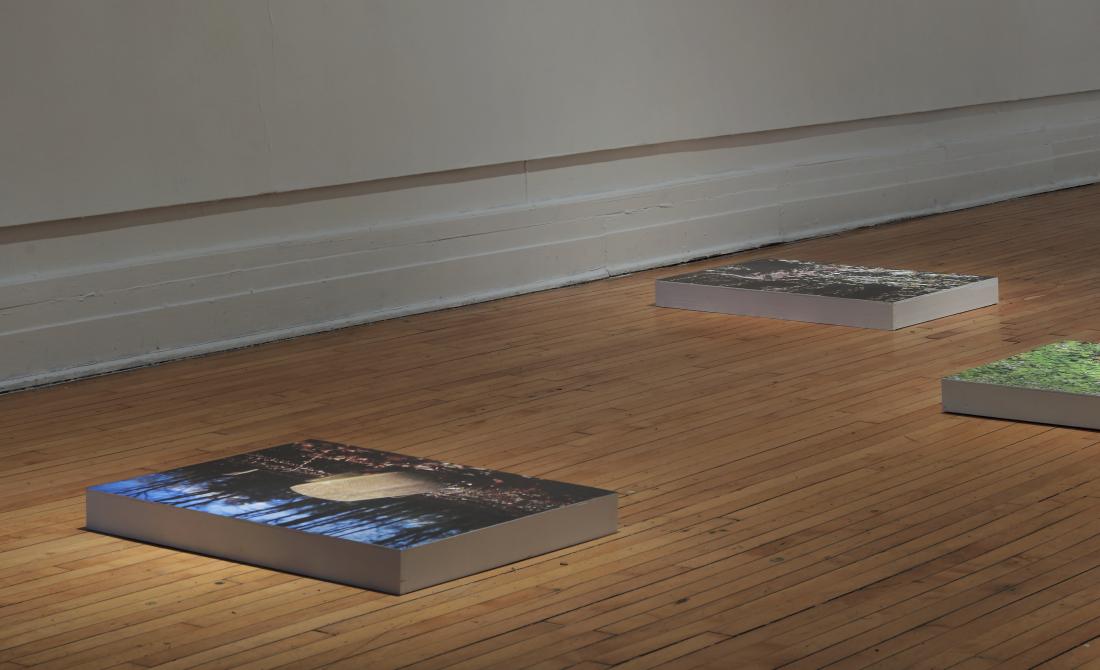 Installation view. The Afterlife of Jim Crow, 2019.
