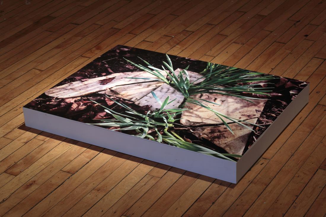 Untitled: East End, 2018. Digital Print on vinyl mounted on wood.