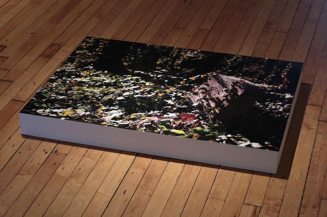 Untitled: East End, 2015. Digital Print on vinyl mounted on wood.