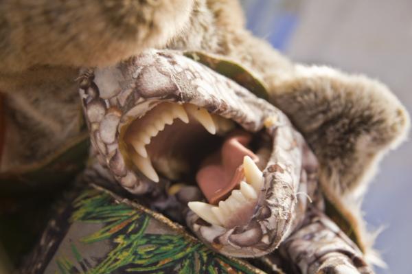 Greg Stewart, Engine of Bones Man the Handyman, photo by Harrison Möenich