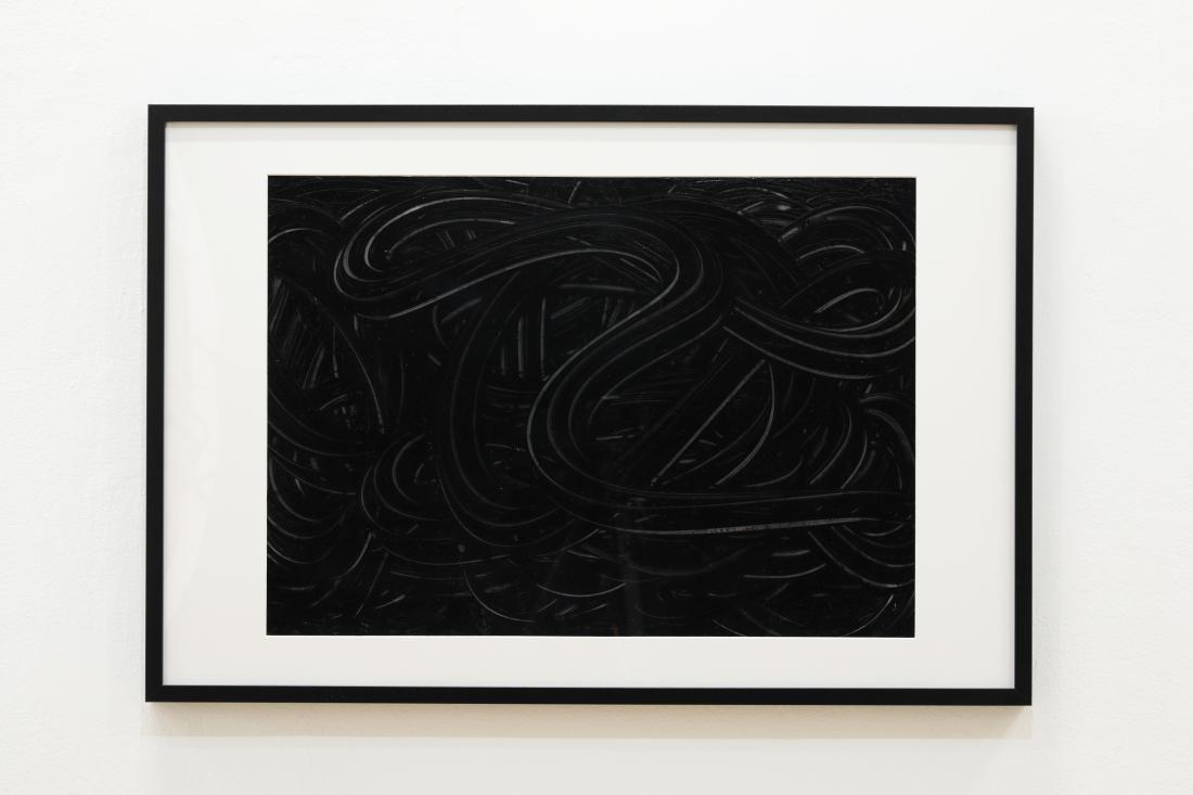 Photo Courtesy of David Hale