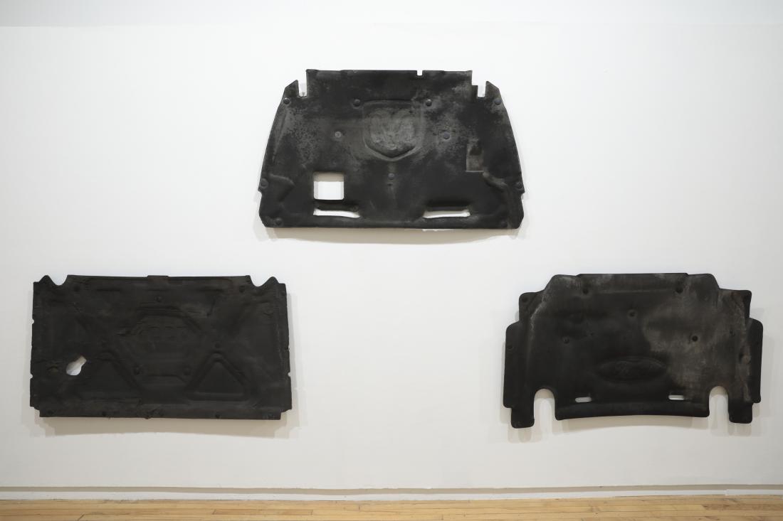 Photo Courtesy of David Hale