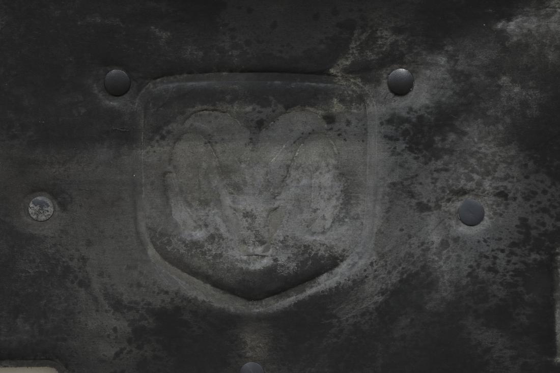 Photo Courtesy of David Hale