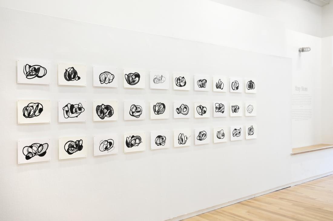 Photo Courtesy of David Hale