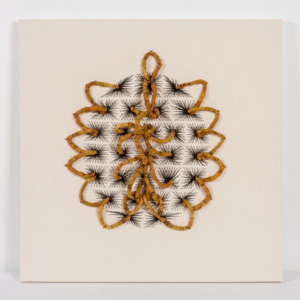 Kamala Bhagat, photo by Taylor Dabney