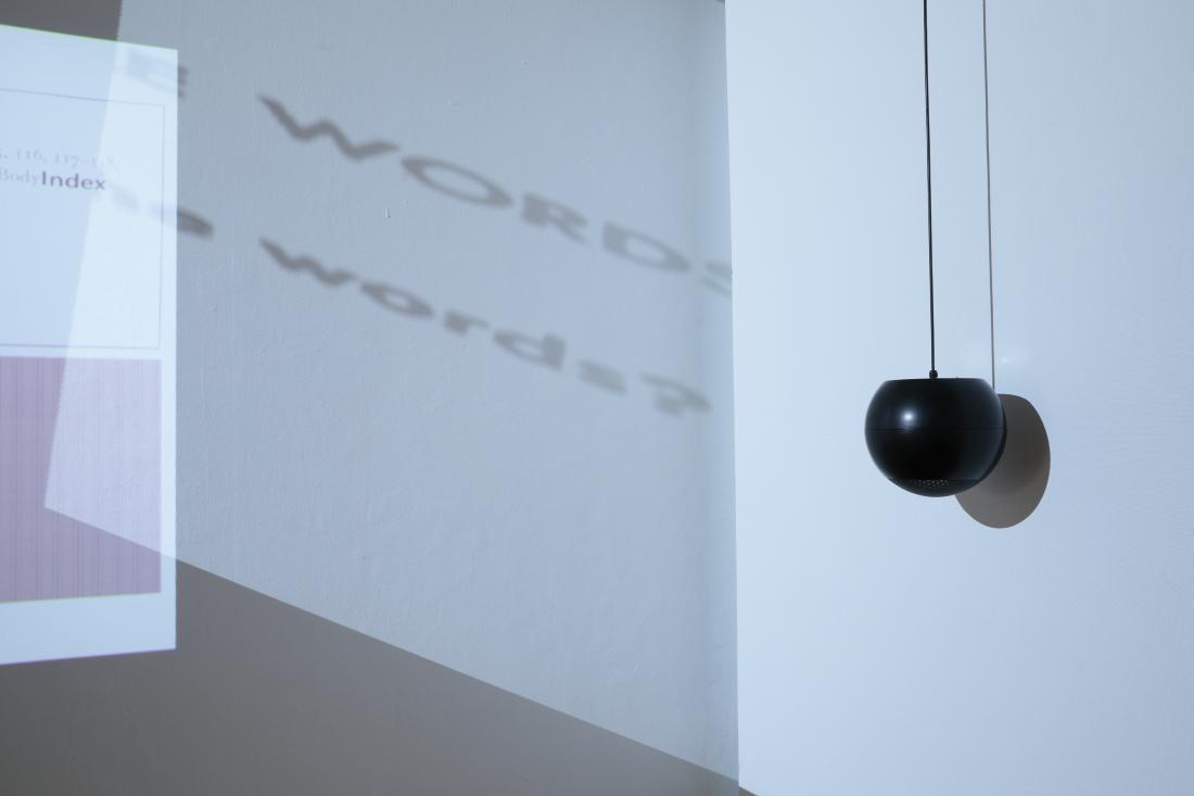 Photo Courtesy of David Hale