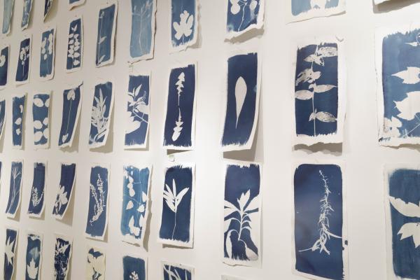 3x3 Summer Sessions: Hilary Waters Fayle Installation Image