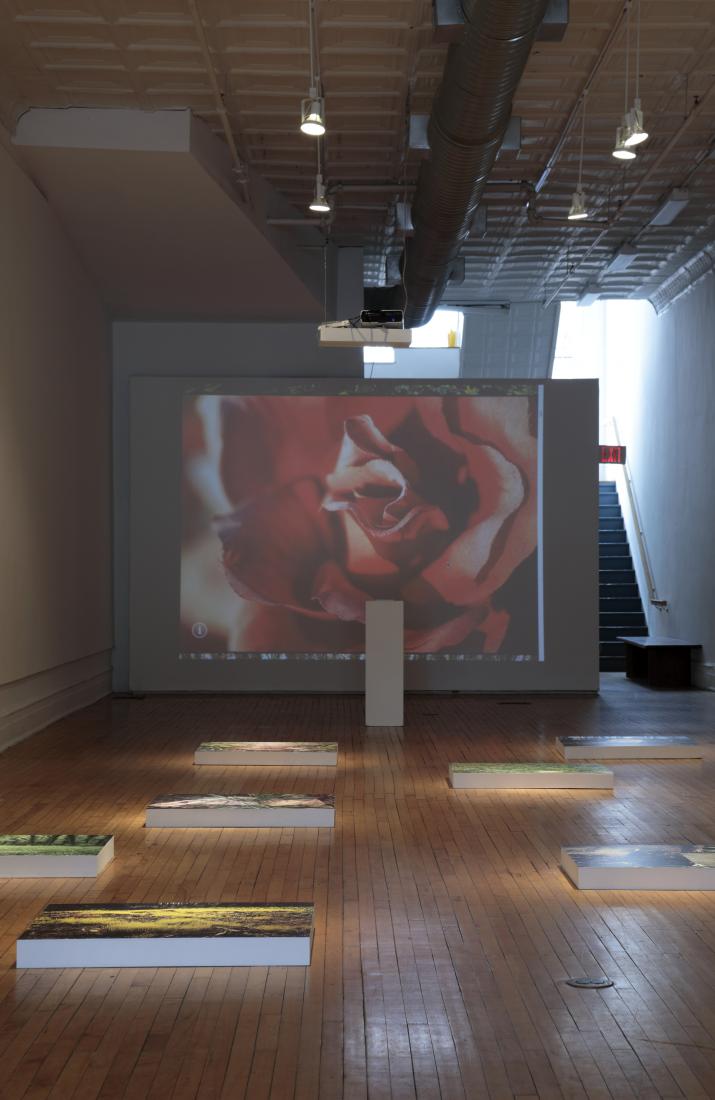 Installation view. The Afterlife of Jim Crow, 2019.