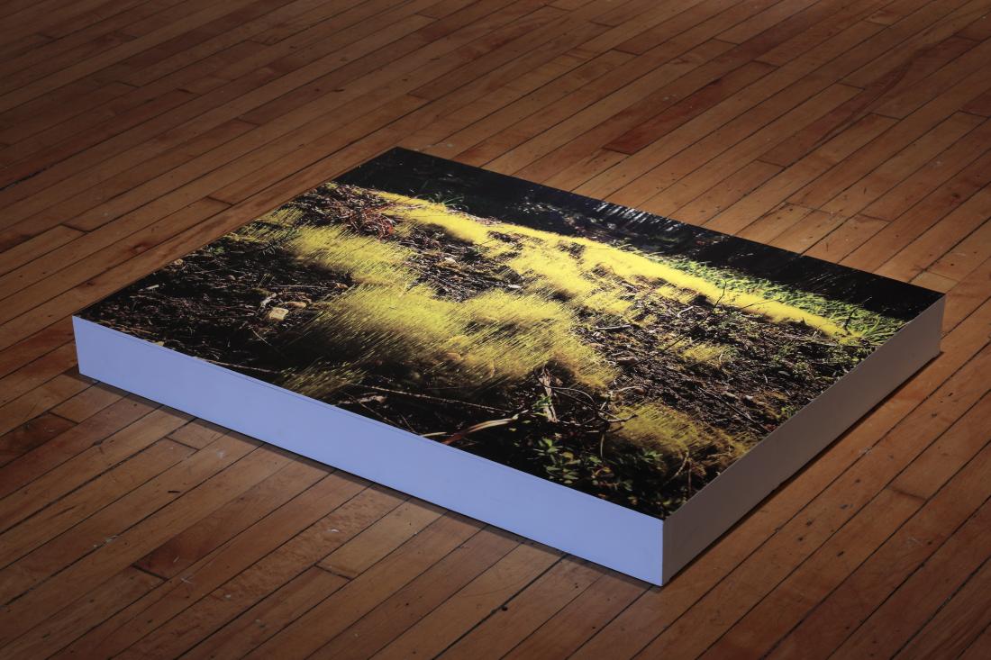 Untitled: East End, 2017. Digital Print on vinyl mounted on wood.