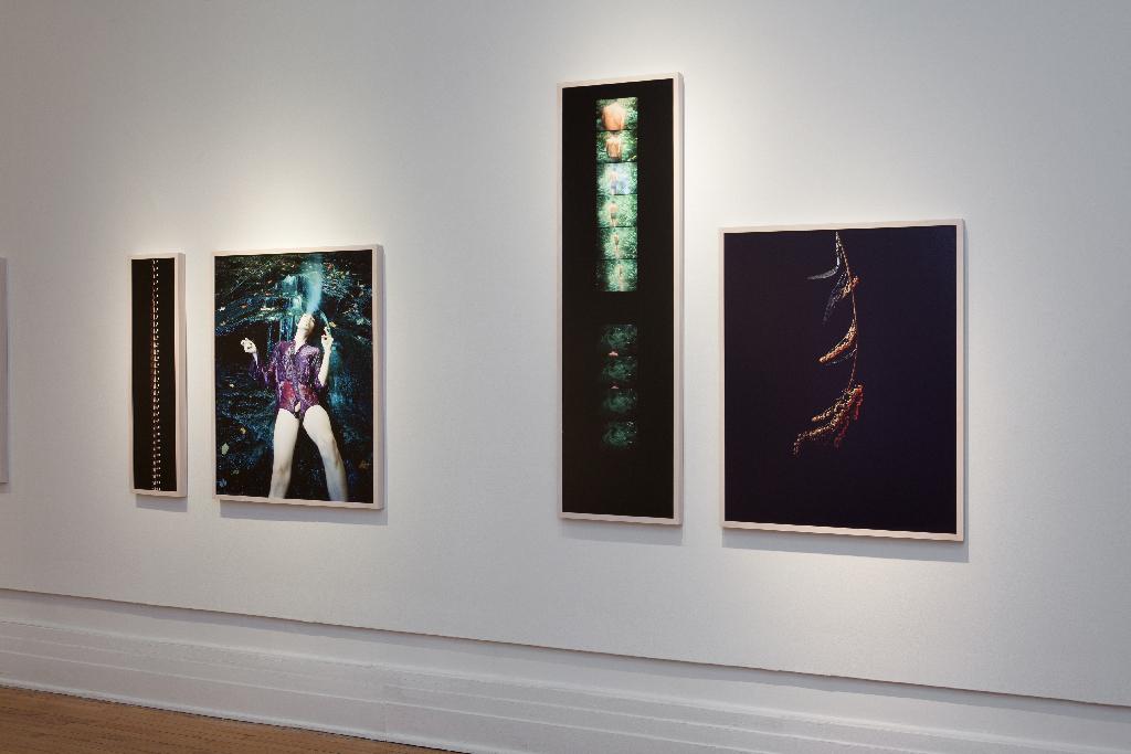 Forest Kelley, Michael installation view, 2018, Image courtesy of David Hale