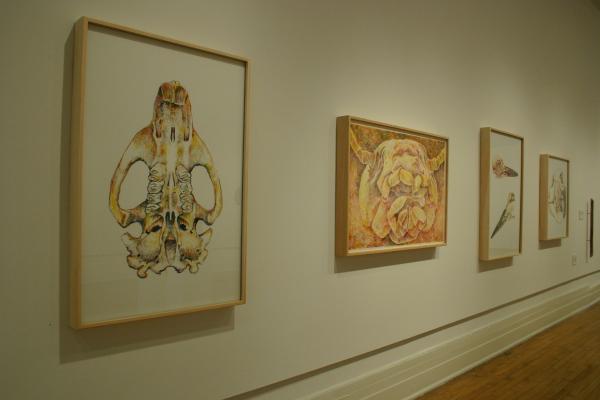 Exhibition Image