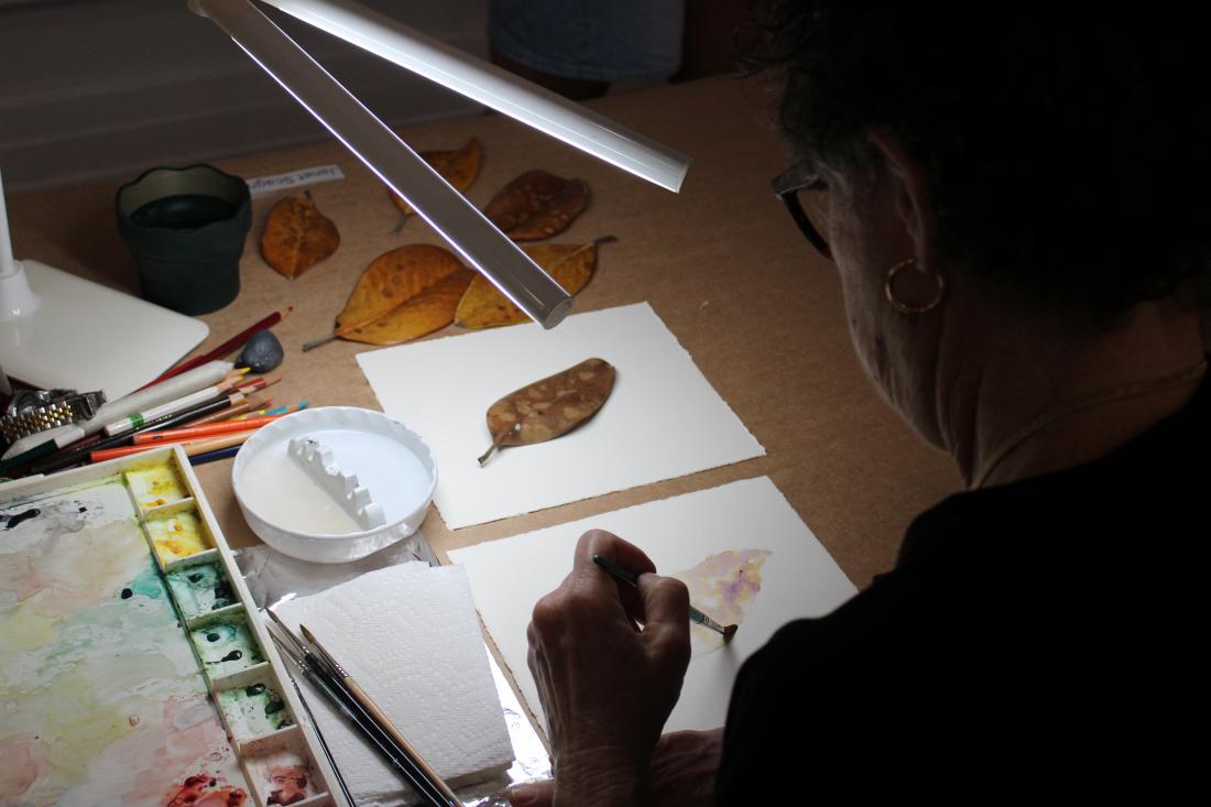 Photograph courtesy of David Hale