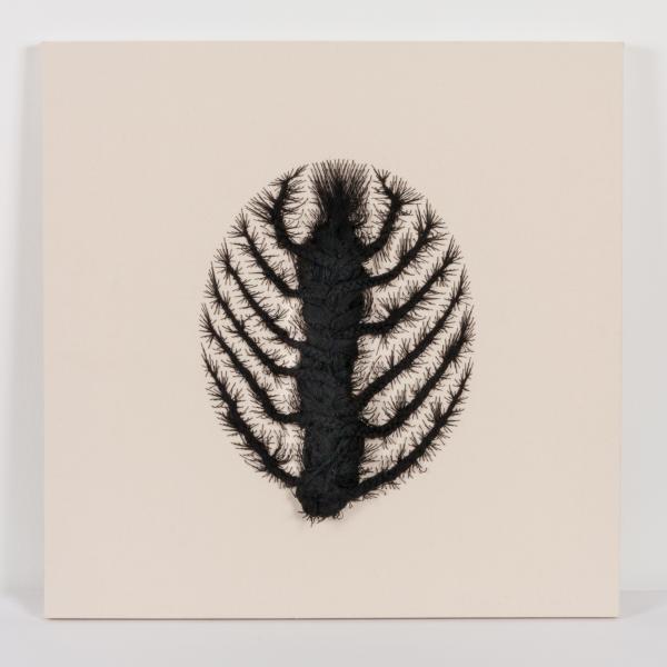 Natasha Superville, photo by Taylor Dabney