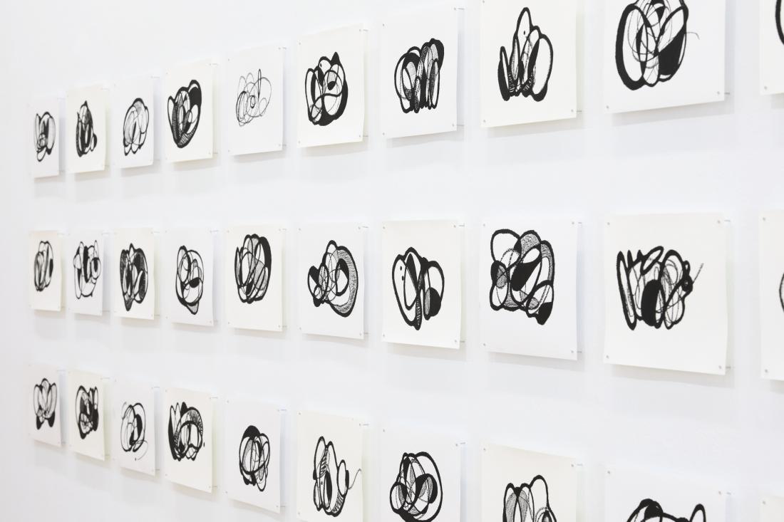 Photo Courtesy of David Hale