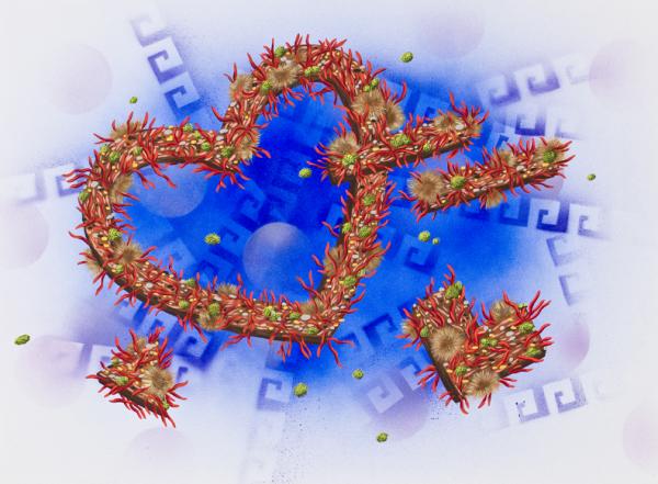 Amy Chan, Hearts in Space 4