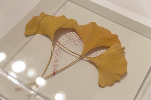 3x3 Summer Sessions: Hilary Waters Fayle Installation Image