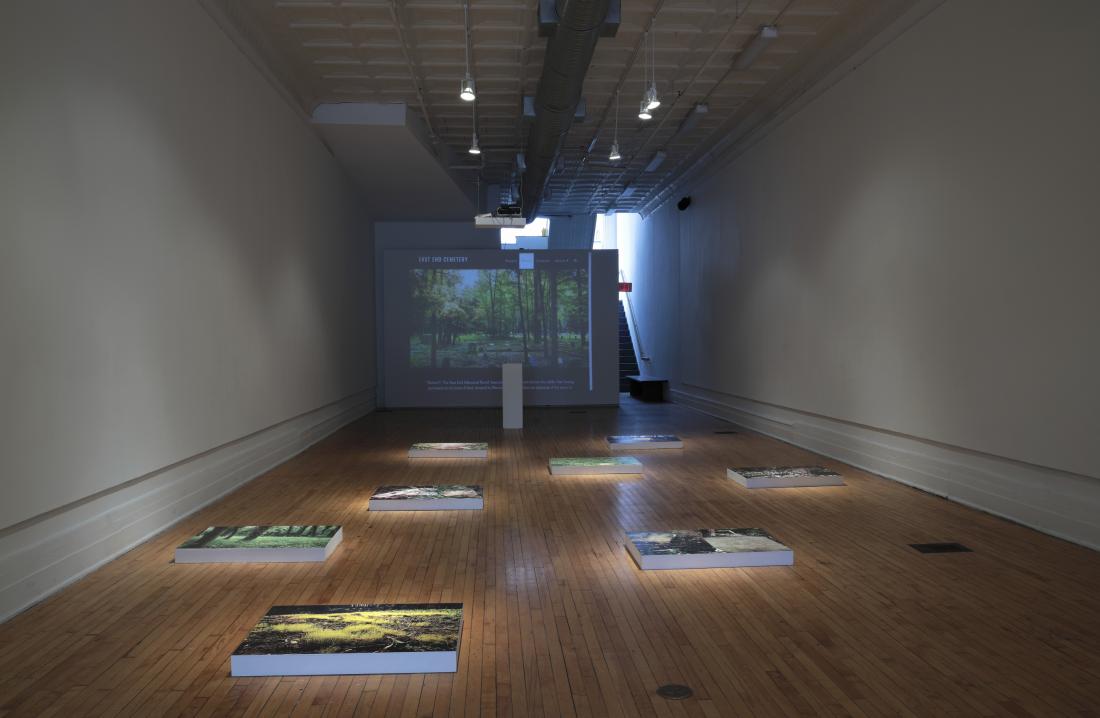 Installation view. The Afterlife of Jim Crow, 2019.