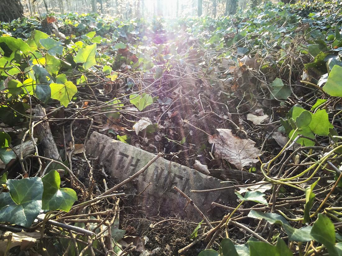 Brian Palmer & Erin Hollaway Palmer, photograph