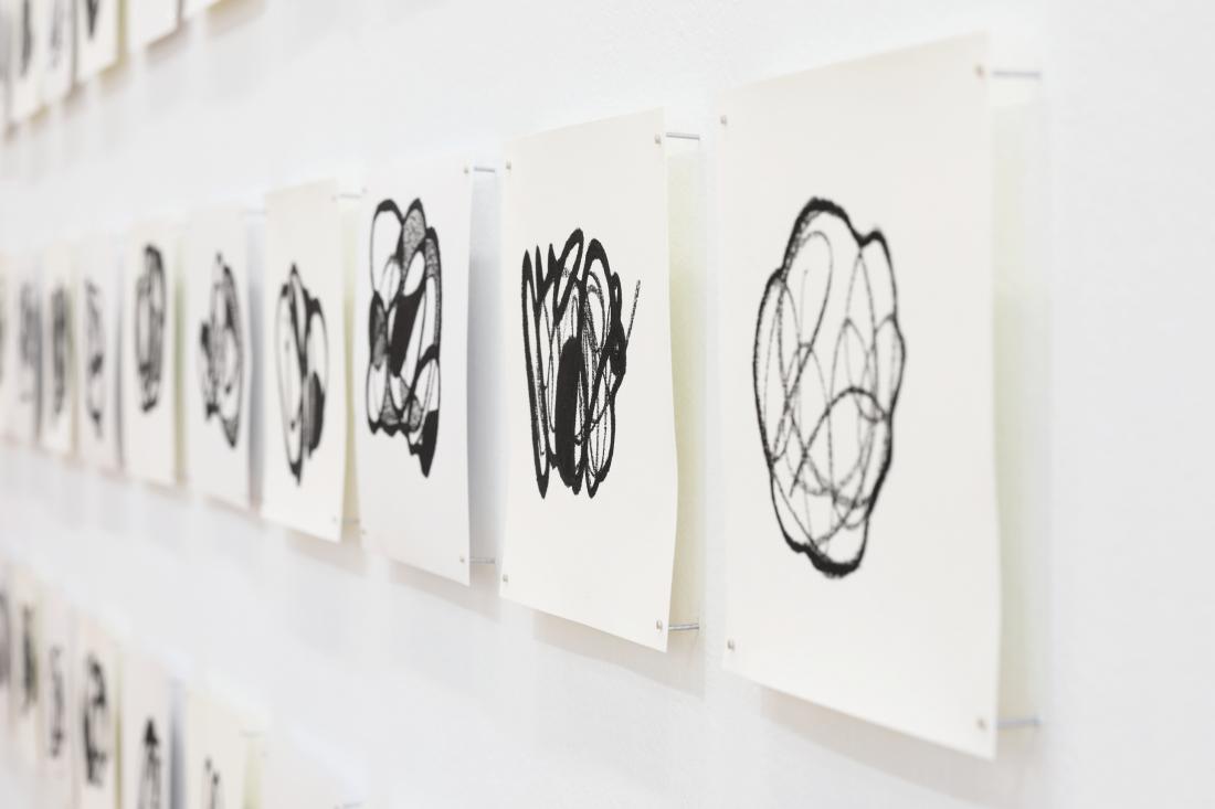 Photo Courtesy of David Hale