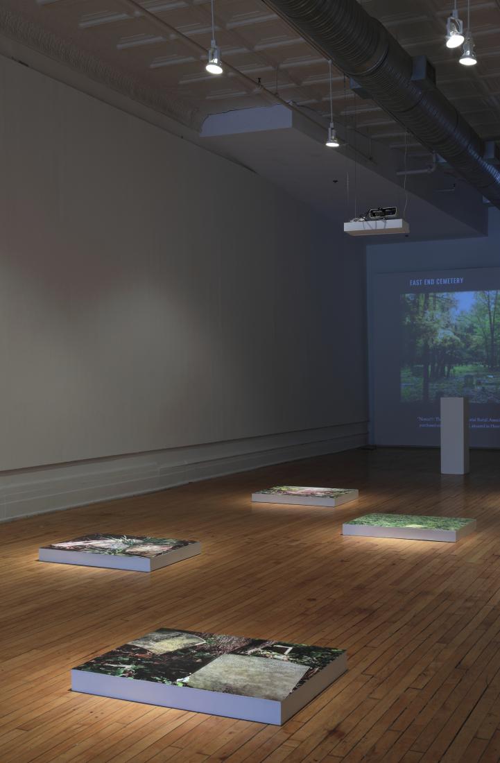 Installation view. The Afterlife of Jim Crow, 2019.