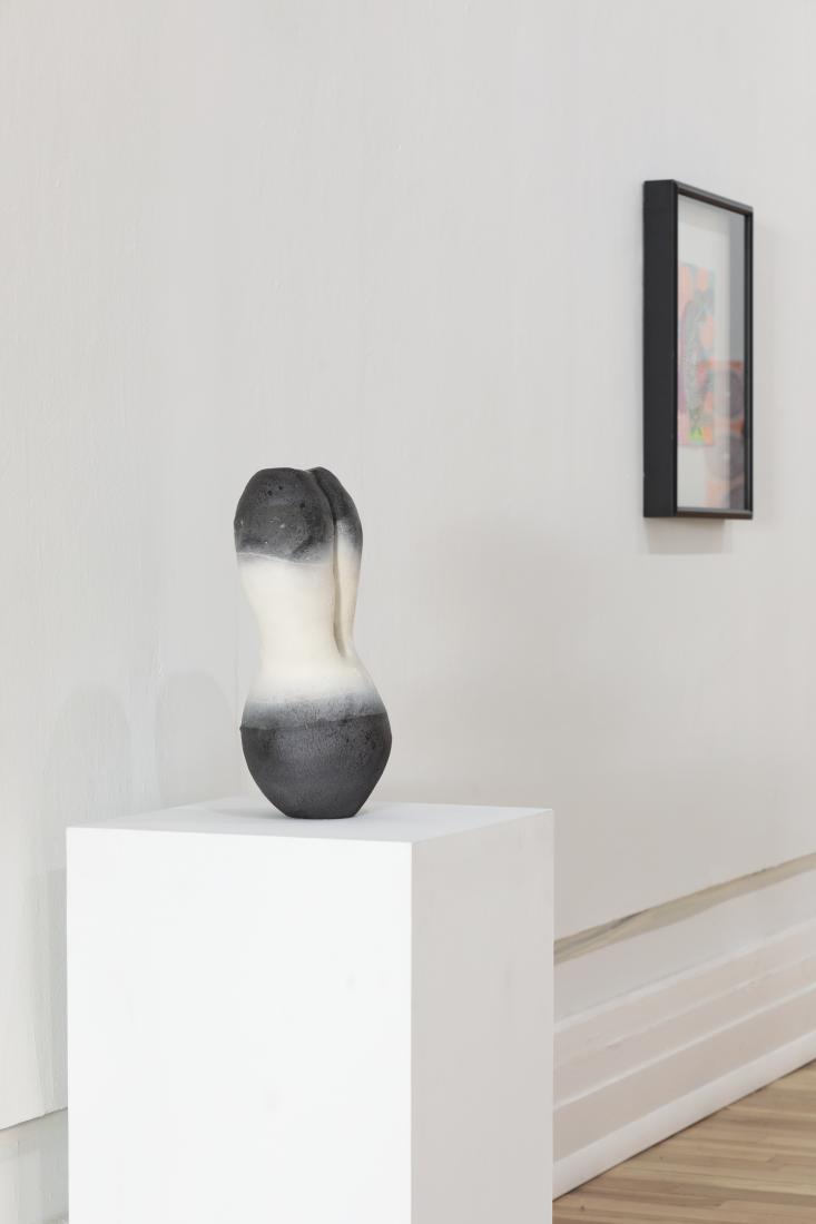 Photo Courtesy of David Hale