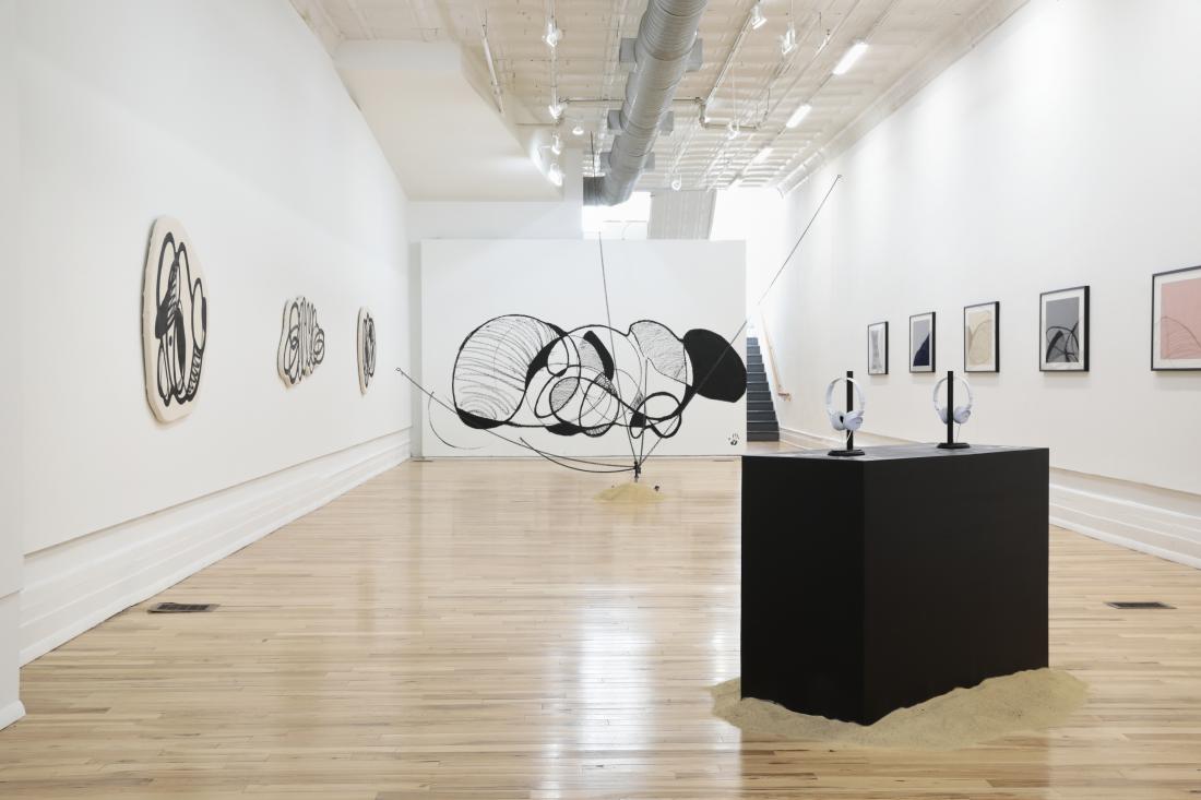 Photo Courtesy of David Hale